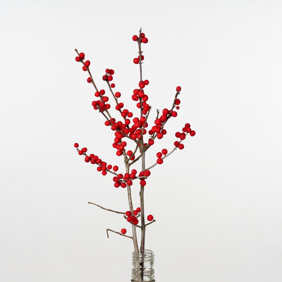 ［ドライフラワー］ウメモドキ