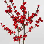 ［ドライフラワー］ウメモドキ