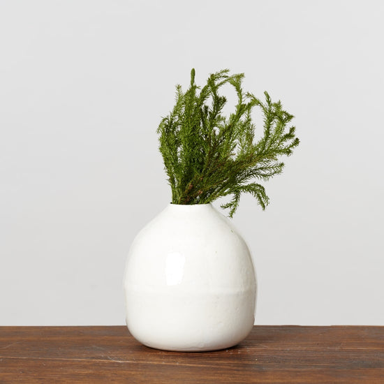 ［ドライフラワー］ヒカゲ立ちカズラ  ショート