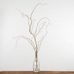 ［ドライフラワー］雲竜柳