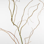 一輪挿しで愛しさ増すドライボタニカル（雲竜柳）