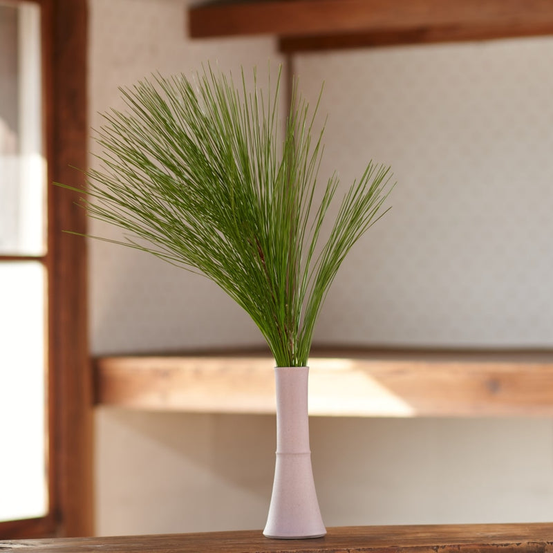 12月中旬～順次発送する予約販売商品です