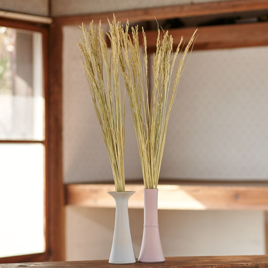 ［ドライフラワー］稲穂