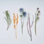 送料無料｜ドライフラワーおためしセット
