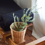 ［インテリア・雑貨／アパレル］Willow basket フラワーポット