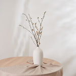 ［ドライフラワー］アオモジ（再入荷予定あり）