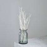 ［ドライフラワー］ミツマタ（ホワイト）