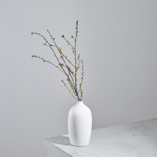 ［ドライフラワー］アオモジ