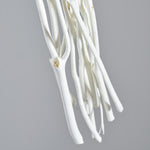 ［ドライフラワー］ミツマタ（ホワイト）