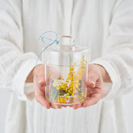 ［ドライフラワーの植物標本］ミモザ