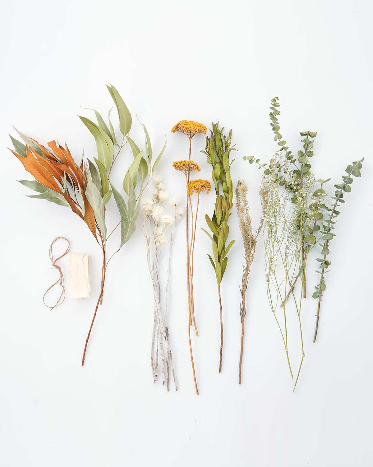 ＜幾久しく＞アキレアとフィリカのスワッグ