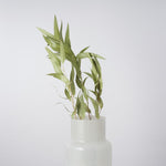 ［フラワーベース］ 大きなミルキーガラスベース