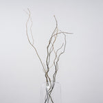 一輪挿しで愛しさ増すドライボタニカル（雲竜柳）