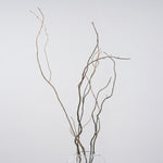 一輪挿しで愛しさ増すドライボタニカル（雲竜柳）