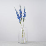 ［ドライフラワー］デルフィニューム ジャイアント パシフィック