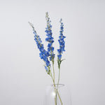 一輪挿しで愛しさ増すドライボタニカル（デルフィニューム）