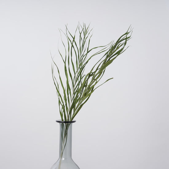 一輪挿しで愛しさ増すドライボタニカル（アレカヤシ）