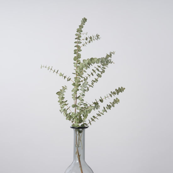 一輪挿しで愛しさ増すドライボタニカル（ユーカリ ベイビーブルー）