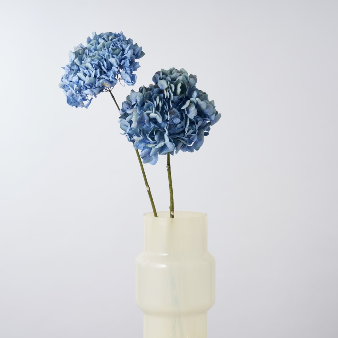 フラワーベース］大きなミルキーガラスベース 商品ページ - 土と風の植物園