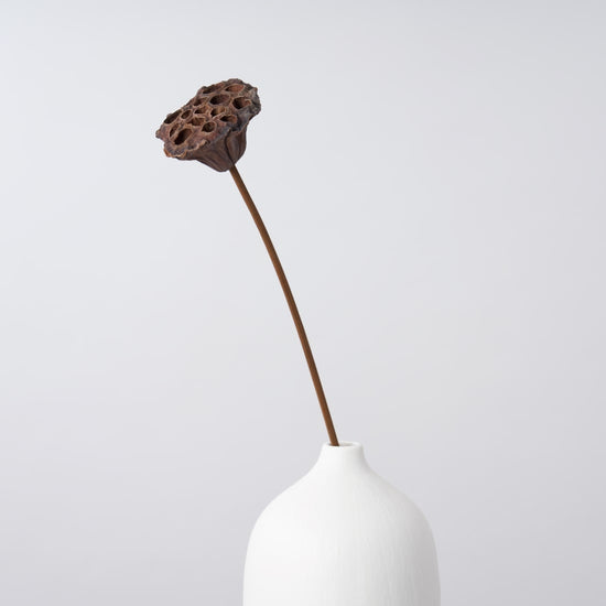 一輪挿しで愛しさ増すドライボタニカル（蓮）