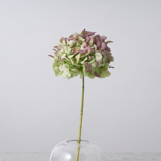 一輪挿しで愛しさ増すドライボタニカル（ピンクエッジ ）