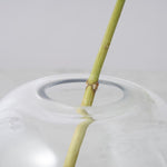 一輪挿しで愛しさ増すドライボタニカル（ピンクエッジ ）