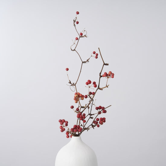 一輪挿しで愛しさ増すドライボタニカル（サンキライ）