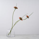 ［フラワーベース］ DOMU ガラスベース