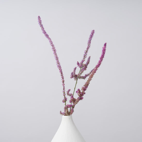 一輪挿しで愛しさ増すドライボタニカル（リモニウム スウォロウィー）