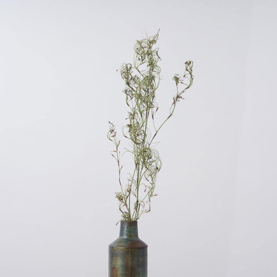 一輪挿しで愛しさ増すドライボタニカル（ゴアナクロー）