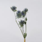 ［ドライフラワー］エリンジューム マグネーター