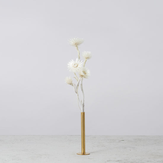 一輪挿しで愛しさ増すドライボタニカル（シルバーデージー）