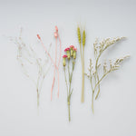 送料無料｜ドライフラワーおためしセット