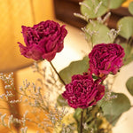 芍薬とおすすめドライフラワーのセット