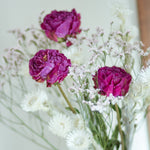 芍薬とおすすめドライフラワーのセット