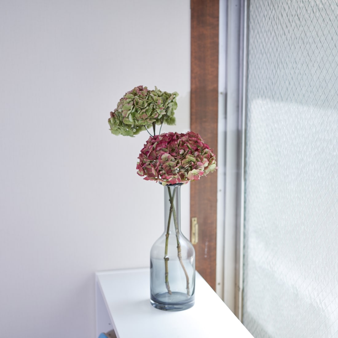 ドライフラワー］紫陽花 クラシックエメラルド商品ページ - 土と風の植物園