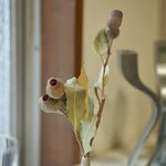 ［ドライフラワー］ユーカリ トランペット