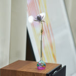 ［ドライフラワー］エリンジューム マグネーター