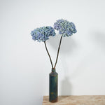 【在庫限り販売終了】［フラワーベース］アイアン ボトルベース（Mサイズ）