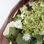 ＜イノセント＞紫陽花アナベル・ユーカリ・エバーラスティングのスワッグ