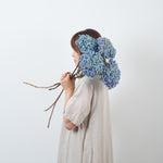 ［ドライフラワー］紫陽花  西安アンティークブルー＜クロダナーセリー＞