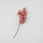 ［ドライフラワー］ペッパーベリー