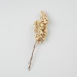 ［ドライフラワー］ペッパーベリー