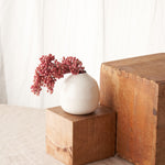 ［ドライフラワー］ペッパーベリー