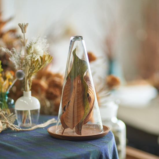 ［雑貨］ガラスカバーと木製プレートのセット