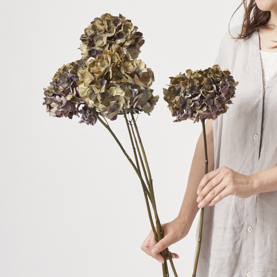 ドライフラワー］紫陽花 スピネルクラシックピンク 商品ページ - 土と
