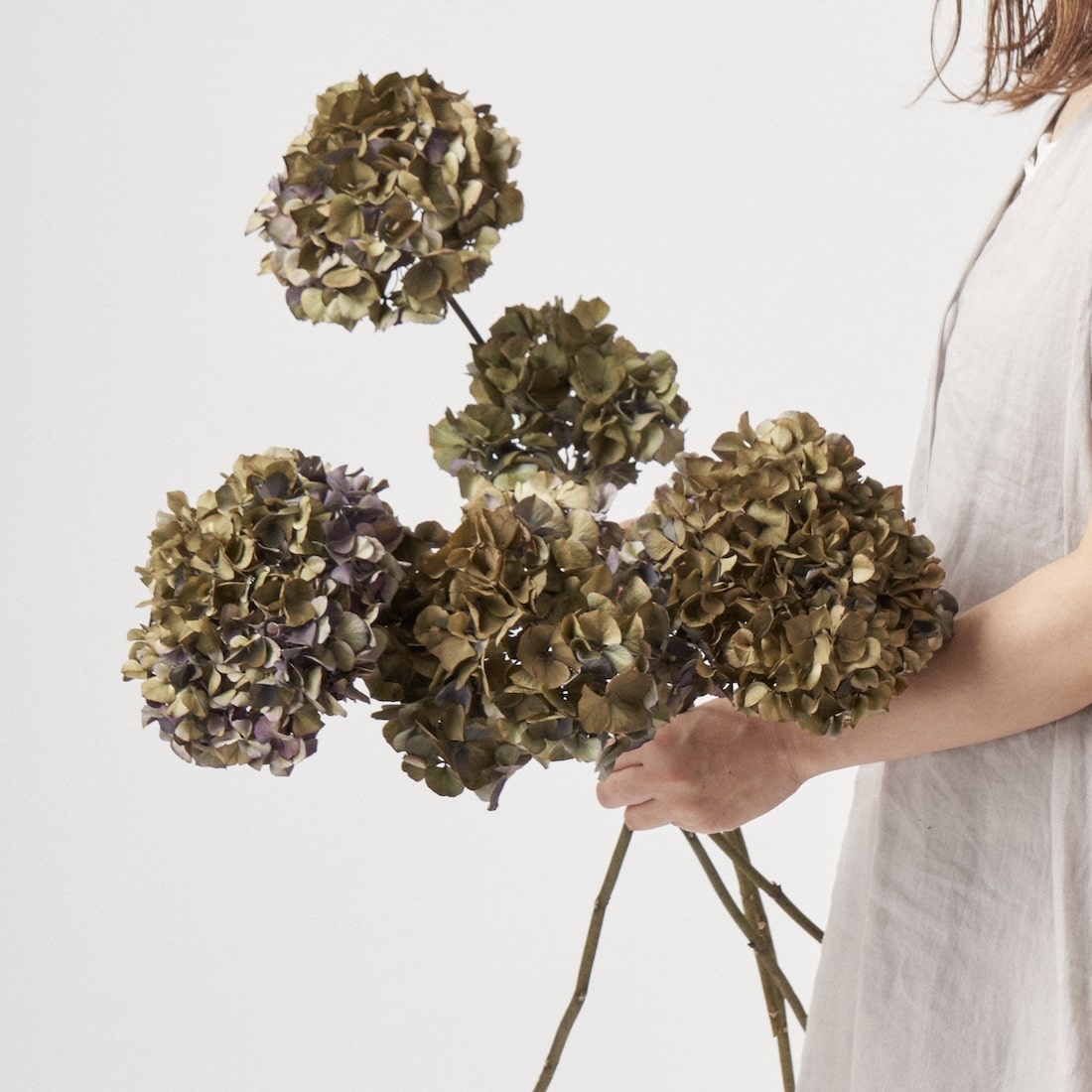ドライフラワー］紫陽花 スピネルクラシックピンク 商品ページ - 土と