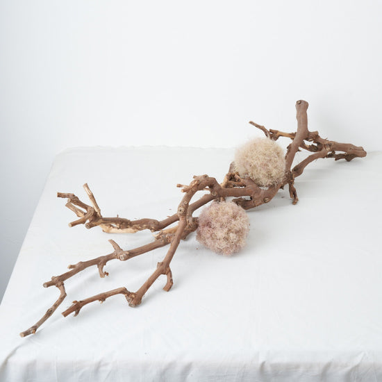 季節の飾り付けを楽しむブドウの枝