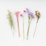 送料無料｜ドライフラワーおためしセット