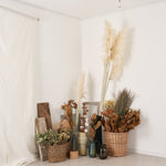 ［BIGボタニカル｜ドライ］パンパスグラス 150-160cm